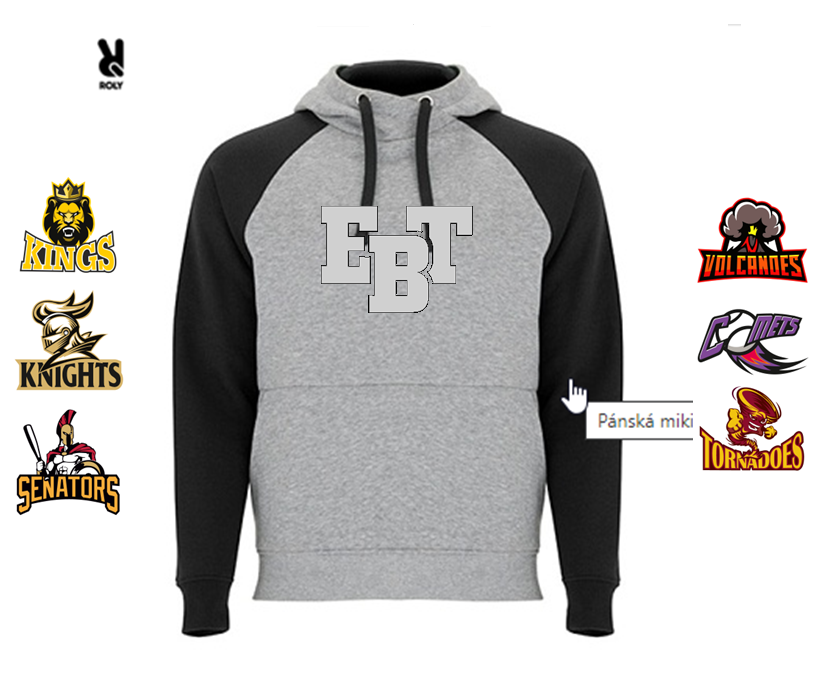 EBT grey hoodie black sleeves